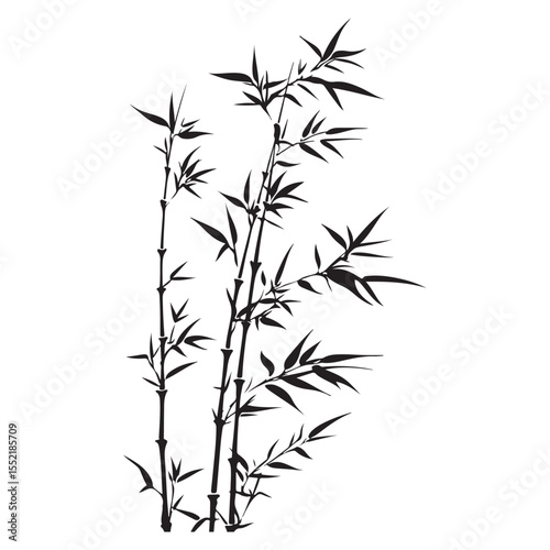 bambus silhouette vector illustration 