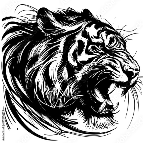 Fierce tiger head illustration with roaring expression in black ink, T-shirt print, isolated vector image on transparent background