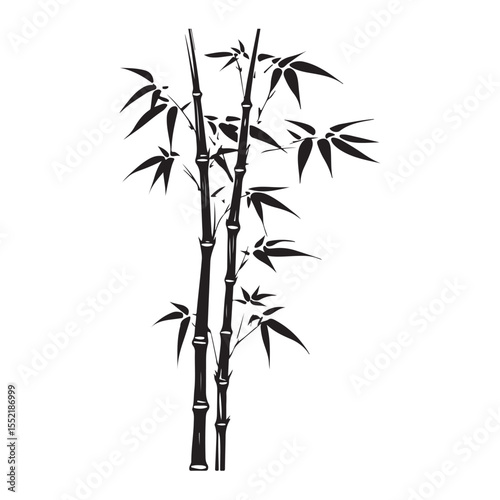 bambus silhouette vector illustration 