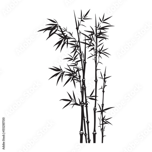 bambus silhouette vector illustration 