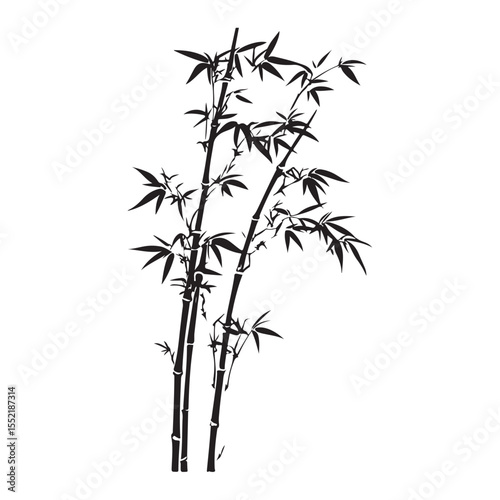bambus silhouette vector illustration 