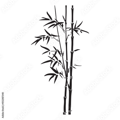 bambus silhouette vector illustration 