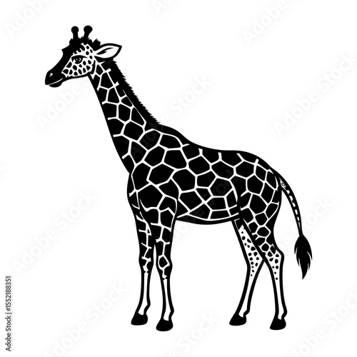A stylized black and white illustration of a giraffe standing on a white background showcasing its distinctive patterned coat and long neck