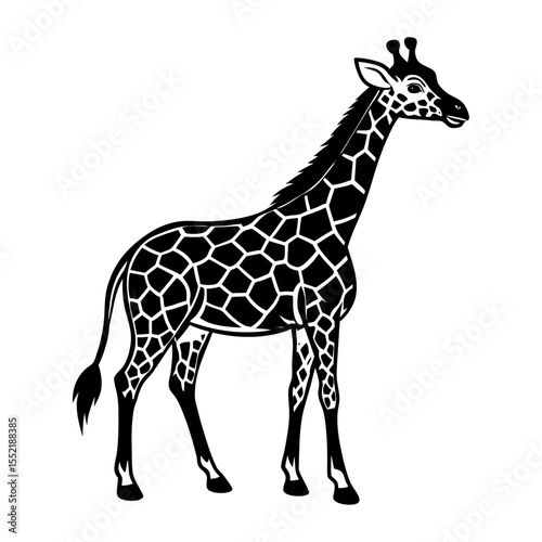 Giraffe illustration with detailed pattern in black and white, Black and white drawing of a standing giraffe with its distinctive long neck and spotted coat pattern, symbolizing wildlife and nature.
