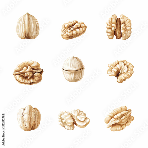 Different varieties of walnuts displayed in a grid arrangement  