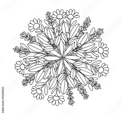 A Series for Alleviating Sadness and Treating Depression :
(96) Circular Floral Mandala: Line Art for Natural Beauty and Balance (for Coloring)