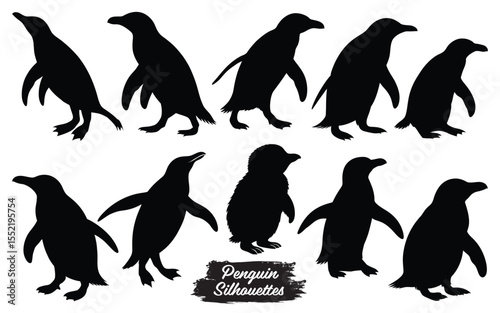 Collection of various penguin poses and styles silhouette