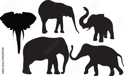 Majestic Elephant Silhouettes A Collection of Elegant Animal Artwork