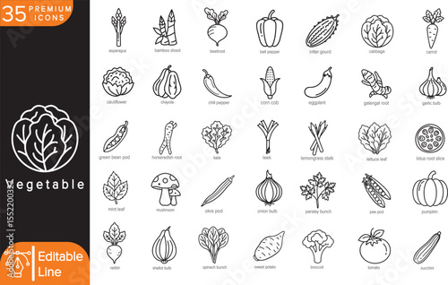 35 Vector Icons of Vegetables – Minimal Line Art of Leafy Greens, Root Vegetables, Herbs, and Exotic Veggies for Healthy Food UI, Infographics, Menu Design, Stickers, and Stock Vector Us