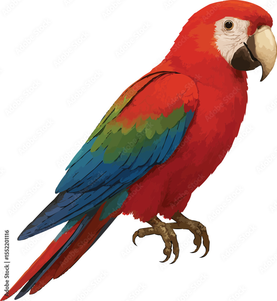 Obraz premium parrot 3d