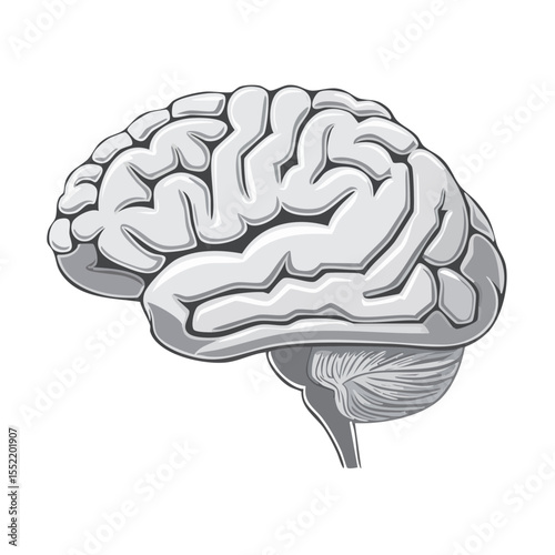 Illustration of a Brain Symbolizing Intelligence, Neurology and Cognitive Function on a Black Background