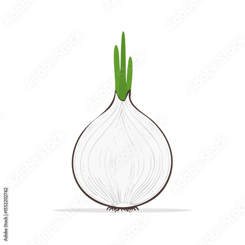 Illustration of a White Onion with Green Stalks Isolated on Black Background Perfect for Food or Health Related Designs