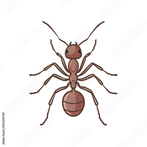Illustration of an Ant Insect with Brown Body, Six Legs, and Antennae on Black Background
