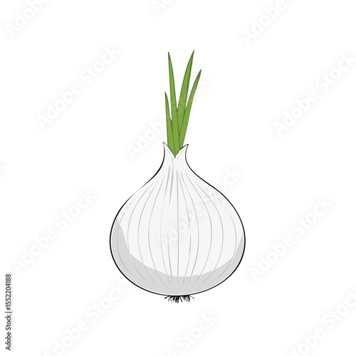 Isolated white onion vegetable illustration with green stalks on a black background adds flavor and healthy nutrients to meals and recipes