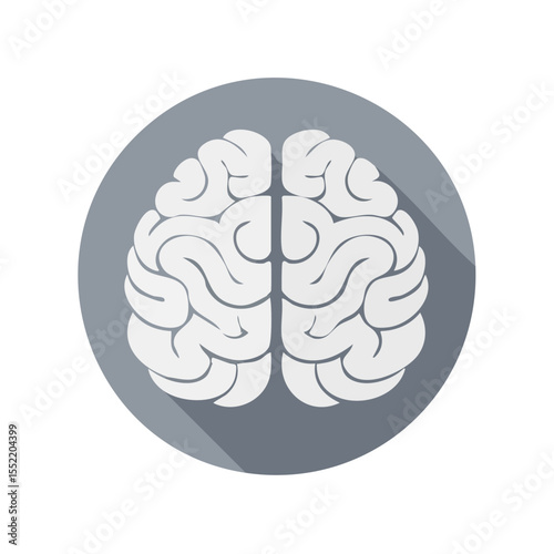 Human brain anatomy illustration. Symbol of intelligence, mind power and mental health in creative flat design on a gray round shape.