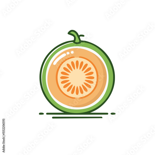 Cantaloupe slice cartoon vector illustration ripe melon food halved freshness dessert healthy eating vegetarian diet summer snack