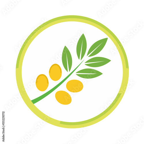 Olive Branch and Fruits in Circle Fresh Harvest Symbol Graphic Nature Green and Yellow Design Mediterranean Agriculture Food Product Label