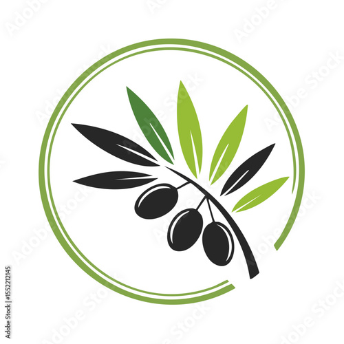 Stylized olive branch with green leaves and black olives in a green circle frame symbol design illustration, flat icon vector logo, natural organic product