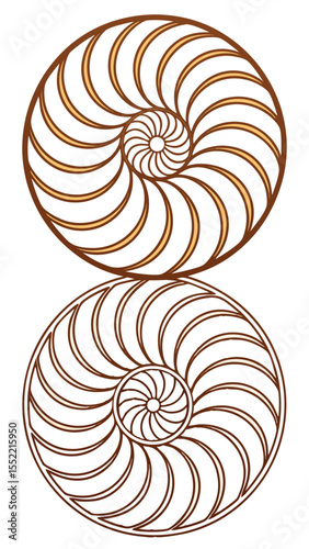 Two artistic spiral designs with transparent background for versatile design use