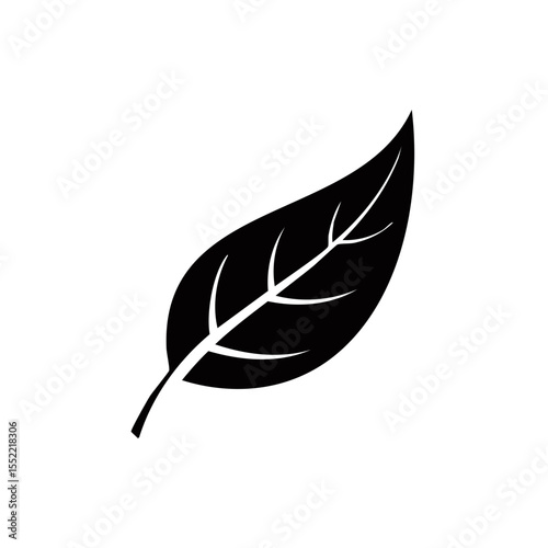Dark silhouette of a single leaf showing veins against a black background.