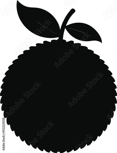 Silhouette of a Rambutan Fruit A Tropical Delight