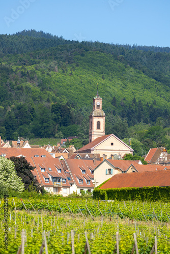 a view of Riquewihr town from outside with grape field and mountain, Alsace, France