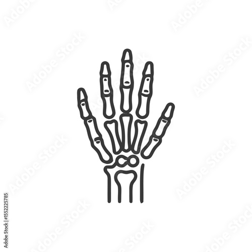 Anatomical Hand Skeleton Outline: Medical Illustration on White Background