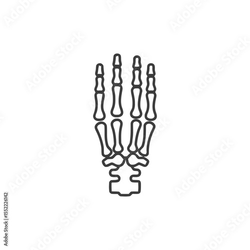 Anatomical Hand Skeleton Outline: Medical Illustration for Educational Purposes