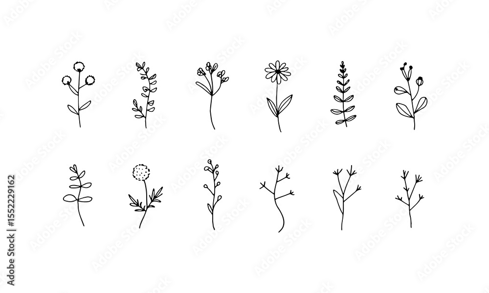 Naklejka premium Thin Line Botanicals. A refined set of narrow botanical sprigs with clean outlines and minimal leaf details, perfect for modern design accents.
