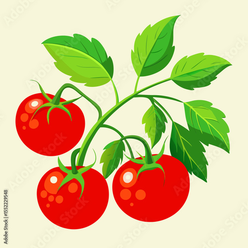 Vibrant red tomatoes ripen on the vine surrounded by lush green leaves