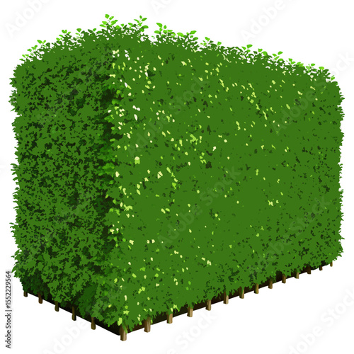 A tall rectangular green hedge with wooden stakes at the base