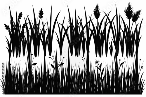 Black silhouette of tall grass reeds and wildflowers against a white background