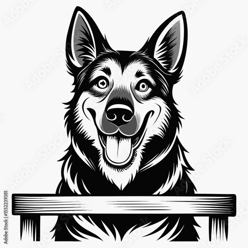 Happy german shepherd dog peeking over a wooden sign with tongue out