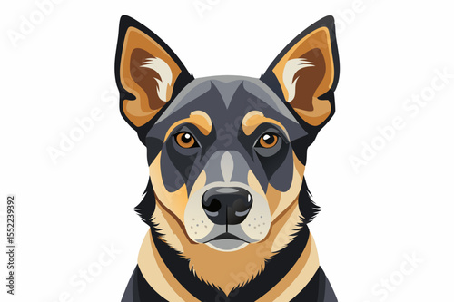 Stylized portrait of a loyal australian kelpie dog with alert ears