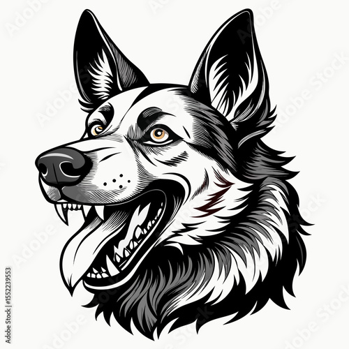 Intense german shepherd dog head with open mouth and sharp teeth