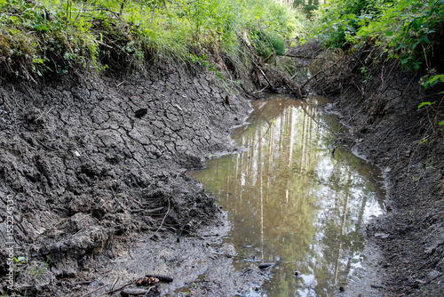 A nearly dried-up forest stream reveals the impact of climate chang, low water levels and dry soil. Heat and drought threaten natural habitats and alter the ecosystem.