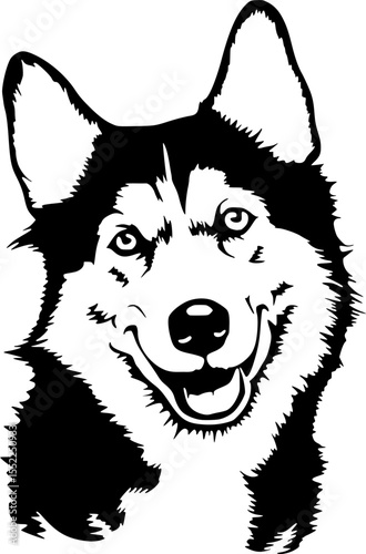Happy Husky Dog Face Vector Illustration