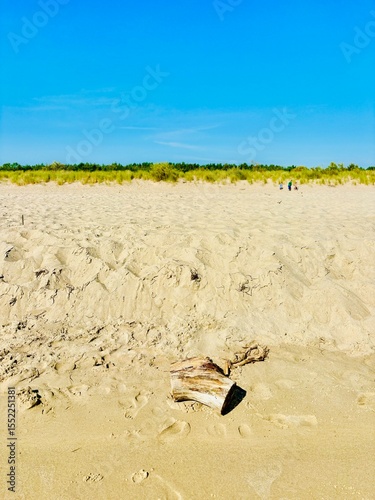 Baltic Seashore