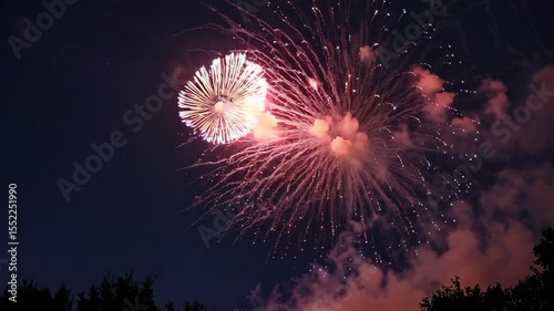 Vibrant fireworks exploding in the night sky over silhouetted trees, creating a spectacular display of celebration, joy, and festive events.
