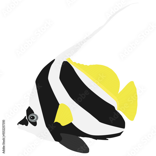 Longfin bannerfish isolated on white background, profile view. Tropical sea fish Heniochus acuminatus cut out, side view. Pennant coralfish or Coachman fish cutout, vector flat design eps 10