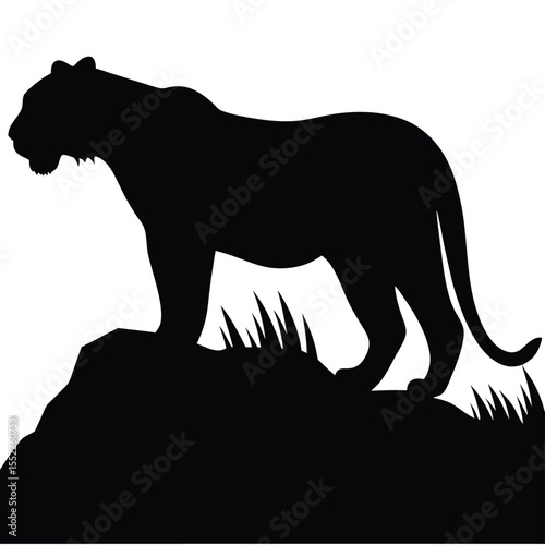 A Silhouette of a Majestic Tiger Standing Tall, Wild Animal Image