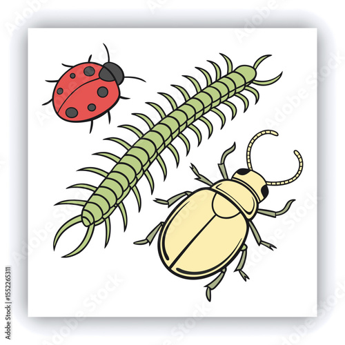 Set of insect illustrations, butterfly, caterpillar, cricket, ant, rhinoceros beetle, stag beetle, ladybug, cockchafer, realistic in 3d style.	