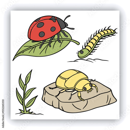 Set of insect illustrations, butterfly, caterpillar, cricket, ant, rhinoceros beetle, stag beetle, ladybug, cockchafer, realistic in 3d style.	