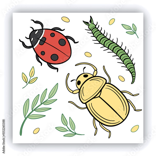 Set of insect illustrations, butterfly, caterpillar, cricket, ant, rhinoceros beetle, stag beetle, ladybug, cockchafer, realistic in 3d style.	