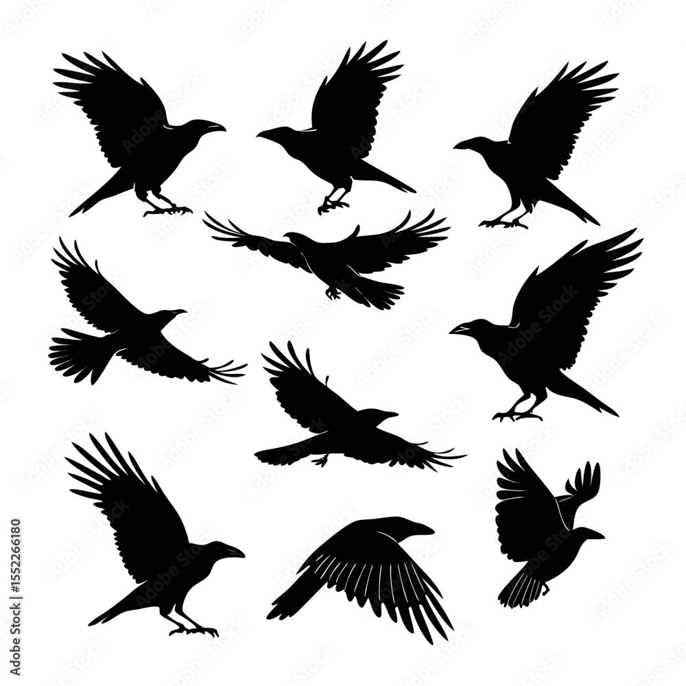 Obraz premium Silhouette Collection Majestic Crows in Flight, Landing, and Perched Poses