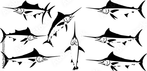 set of Atlantic swordfish, vector illustration ,flat style
