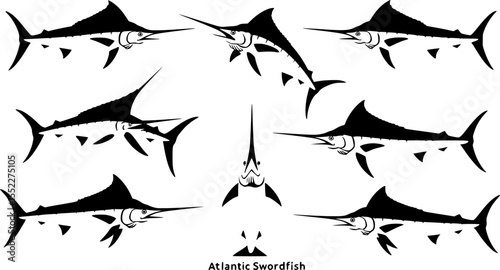 set of Atlantic swordfish, vector illustration ,flat style
