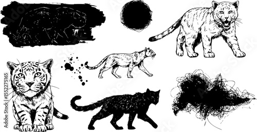 Symbolic image of an animal from the giant cat Abstract ink drawing, chaotic lines and splatters, black and white, pen sketches,gestural marks, vector