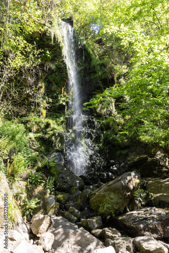 waterfall in the forest