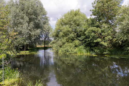 river and reflections